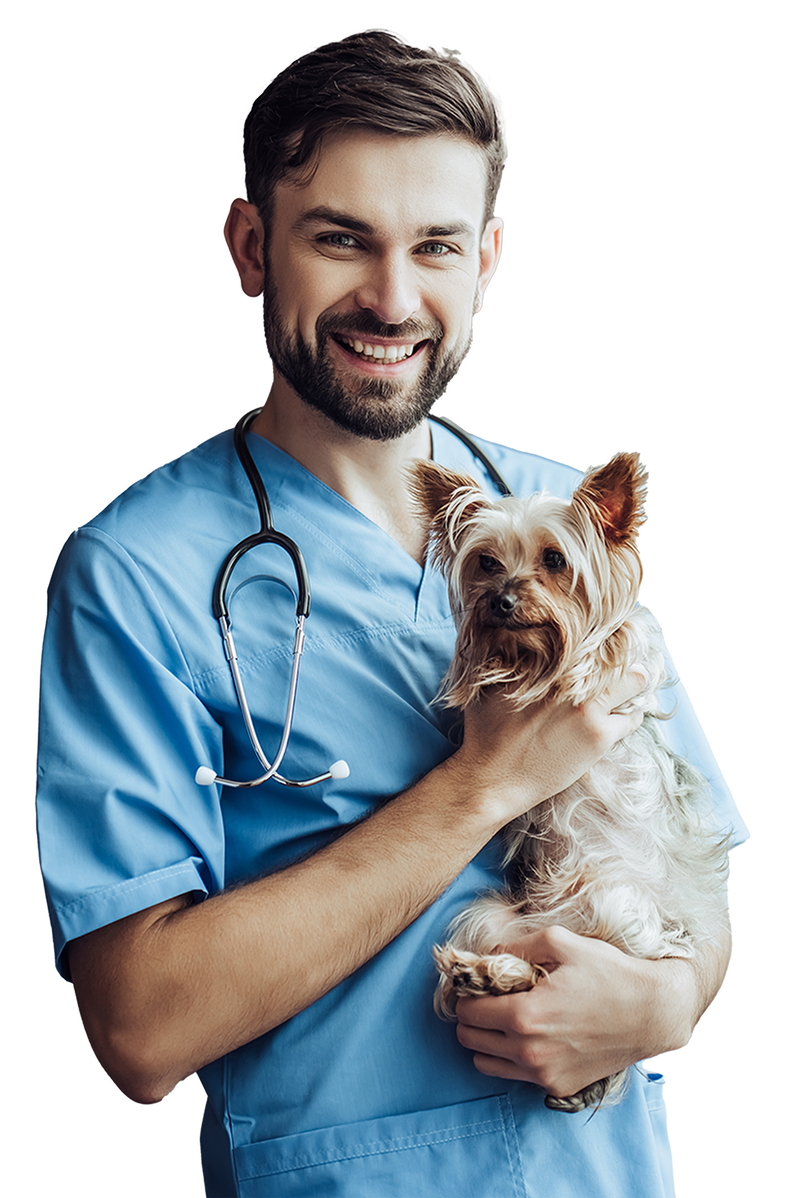 Why Pad’s 8-Point Health Check Catches Issues Sooner: Expert Veterinary Technician Pet Nursing Care at Home