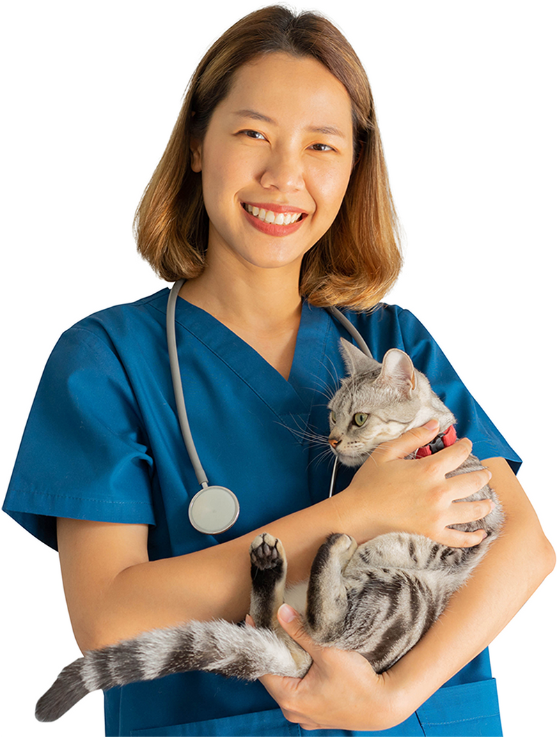 Treatment of Subcutaneous Emphysema in Dogs: Help Your Pet Heal